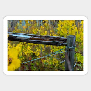 Fall fence illustration Sticker